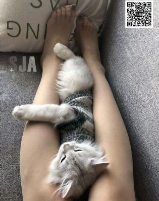 日本特黄在线观看_剧情片在线手机播放